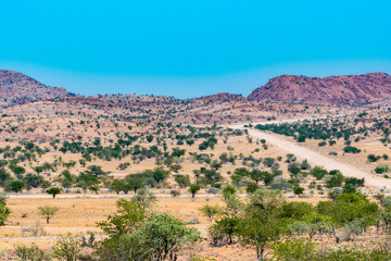 Fototapeta na wymiar Fabuleux paysages de Namibie en Afrique