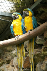 Quenca Ecuador  Ingapirca 