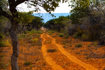 Fabuleux paysages de Namibie en Afrique