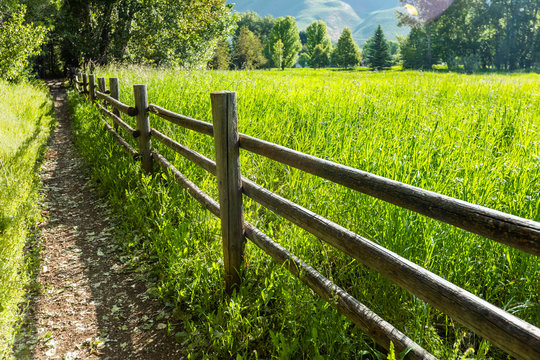 Wooden fence by green field
