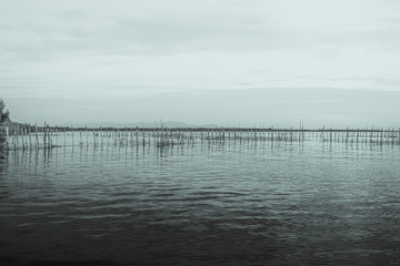 Lagoon in Pinedo town of Valencia