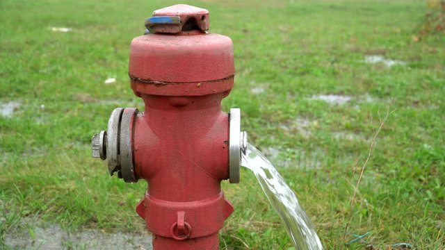 Detail of open fire hydrant water flowing on grass. Static. Blur background
