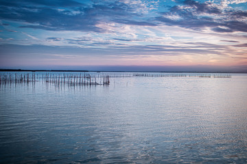 Lagoon in Pinedo town of Valencia