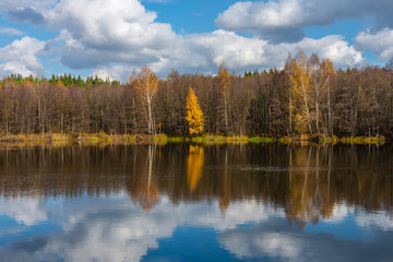 The autumn forest surrounds a beautiful forest lake on the surface of which the blue sky is reflected