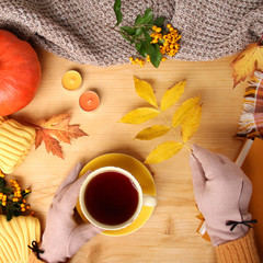 female hands holding a cup of hot tea or coffee, autumn flat in the Scandinavian hugg style, with yellow leaves, cozy knitwear, pumpkin and berries