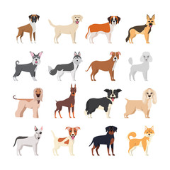 bundle of dog breeds group