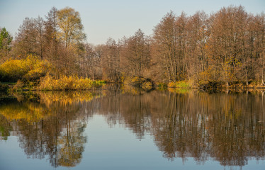 Obraz premium The autumn forest surrounds a beautiful forest lake on the surface of which the blue sky is reflected
