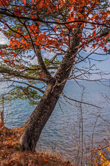 Madeline Island, Wisconsin: Autumn Colors along Lake Superior