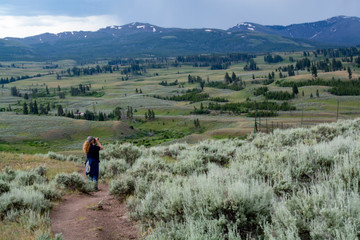 hiker using binoculars on blacktail ponds trail in Yellowstone National Park in summer before a...
