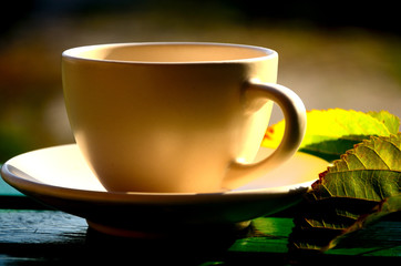 Morning cup of coffee in the park. Autumn Walk.