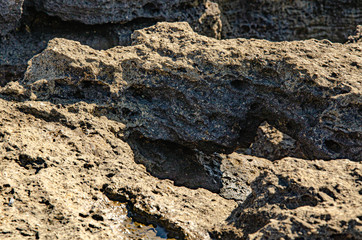 Background surface of the rock by the sea.