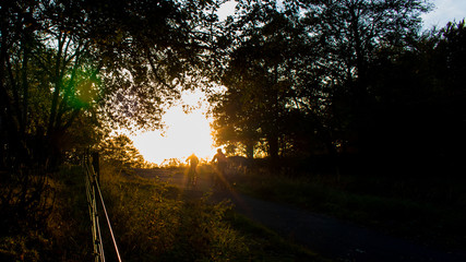 Moring fitness with the new bikes
