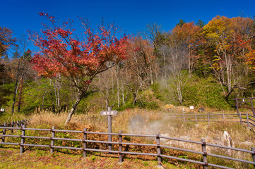 秋のトムラウシ温泉