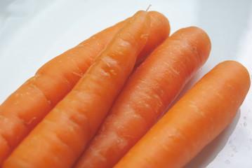 bunch of fresh carrots