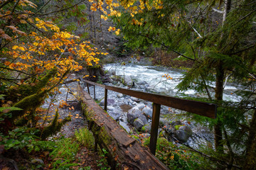 Beautiful Trail in the Canadian Nature near the Glacier River during Fall Season. Taken in Sloquet Hot Springs, Located North of Vancouver, British Columbia, Canada.