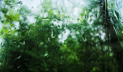 Rain drops down a window looking at a forest