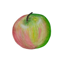 Watercolor ripe apple. For compositions on the theme of food, cooking, fruit, salads, snacks, juices. Object on a white background.