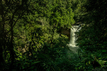 Heo Suwat Waterfall in Khao Yai National Park in Thailand