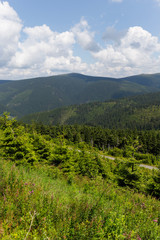 Summer Landscape in the Mountain Jesenik, Czech  Republic