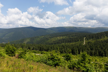 Fototapeta na wymiar Summer Landscape in the Mountain Jesenik, Czech Republic