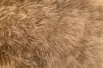 Textured faux beige fur background