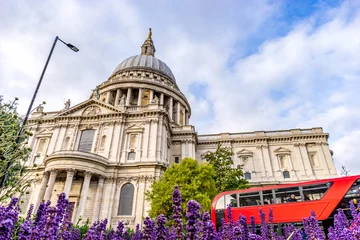 Foto op Plexiglas St. Paul& 39 s Cathedral en rode bus in Londen met lavendel op de voorgrond © offcaania