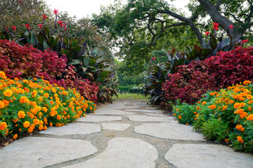 Stone pathway lined with flowers and plants in Dallas, Texas