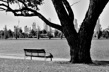 black and white lakeside bench