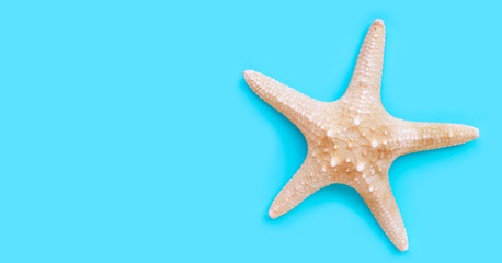 Fototapeta na wymiar Starfish on blue background. Copy space