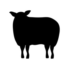 cute sheep manger animal character