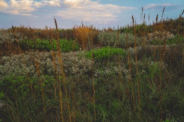 Sunrise and sunset along the dunes of Mustang Island on the Texas Coast