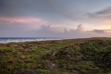 Fototapeta na wymiar Sunrise and sunset along the dunes of Mustang Island on the Texas Coast