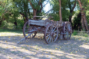 Fototapeta premium Old Wagon in a Field 
