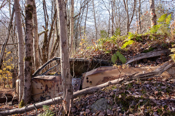 junk car buried