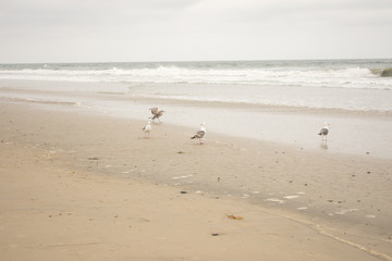 footprints on beach