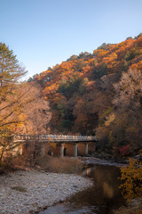 autumnal scenery of mountains stained with autumn foliage.