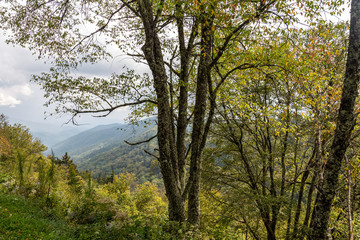 Obraz premium Great Smoky Mountains National Park