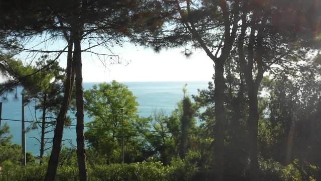 Drone flying through pine trees on hill to reveal epic summer Mediterranean sea coast landscape. Wanderlust concept.