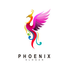 Phoenix logo concept, best phoenix bird logo design - obrazy, fototapety, plakaty