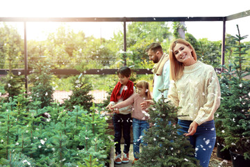 Family choosing Christmas tree in greenhouse