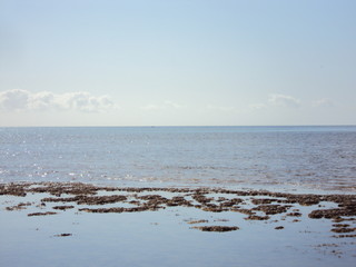 Humpback Whales at Exmouth Gulf