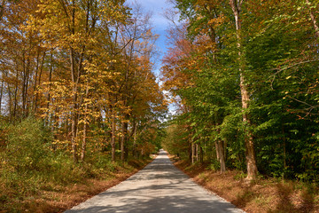 Colorful trees alongside the road in autumn from viewer's perspective