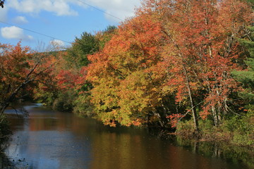 Fall Riverbank #1