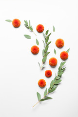 Composition with autumn flowers and eucalyptus on white background