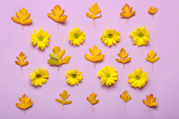 Composition with autumn flowers and leaves on color background
