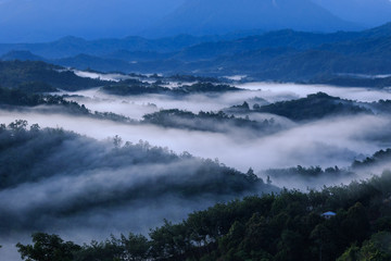 Amazing beautiful motion Mystic foggy forest during early morning at Sabah, Borneo 