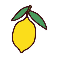 fresh fruit mango pop art style