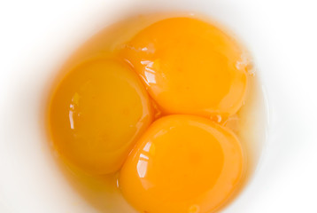 Egg yolks on a white background