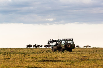Film Production Vehicle Photographing  Wildlife in Africa