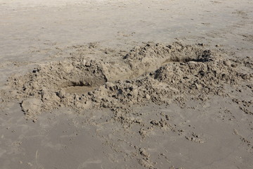 sand texture